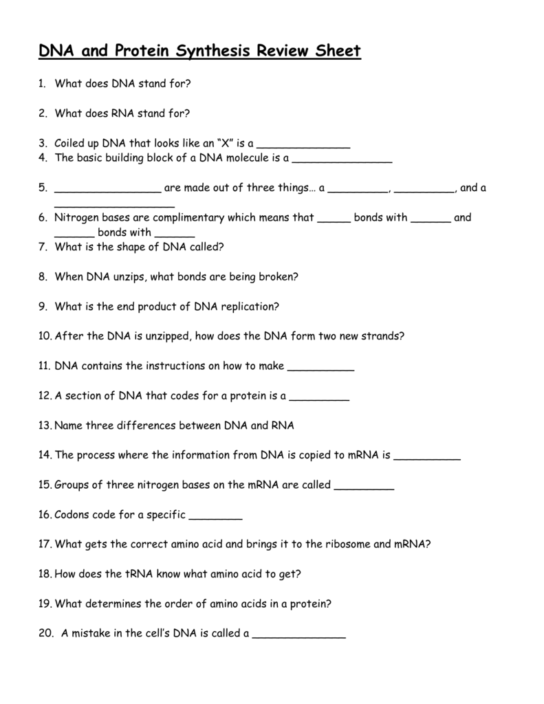 DNA and Protein Synthesis Review Sheet For Protein Synthesis Review Worksheet