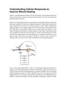 Understanding Cellular Responses to Improve Wound