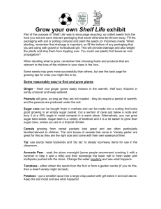Grow your ownShelf Life exhibit