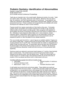 Pediatric Dentistry- Identification of Abnormalities