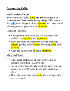 Discovering Cells: