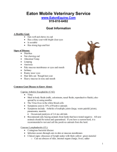 General Goat Information - Eaton Mobile Veterinary Services