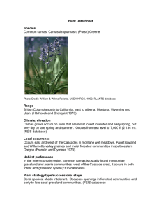 Plant Data Sheet - University of Washington