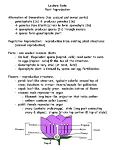 Lecture Notes – Plant Reproduction