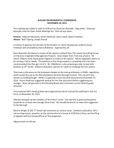 Avalon Environmental Commission Minutes November 18 2014