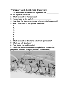 Transport and Membrane Structure Questions for PPT