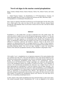 Novel group in the marine coastal picoplankton