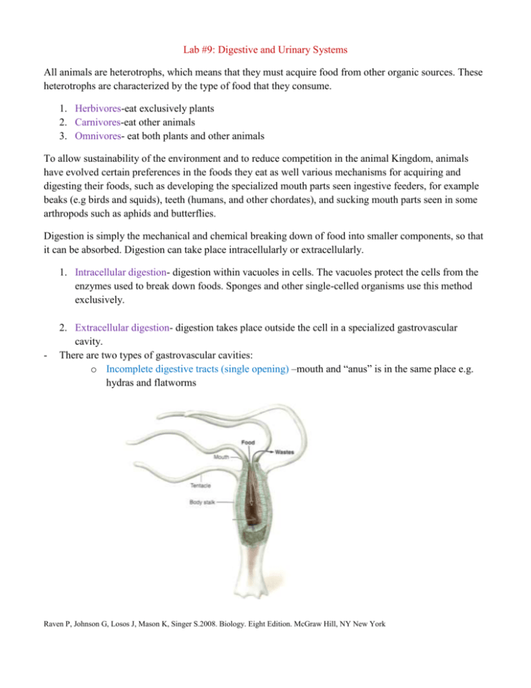 week 5 assignment respiratory digestive and urinary systems