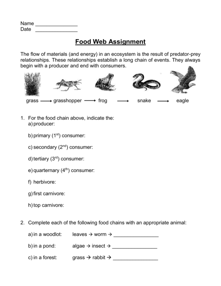 food chain and food web assignment