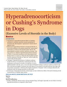 hyperadrenocorticism_or_cushing`s_syndrome_in_dogs