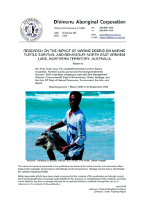 Research on the impact of marine debris on marine turtle survival