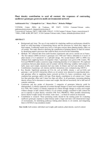 Plant density contribution to final oil content: the responses