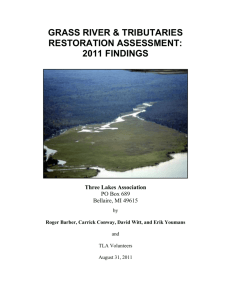 grass river & tributaries restoration assessment