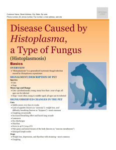 disease_caused_by_histoplasma