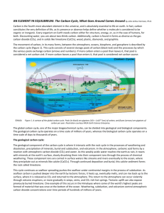 AN ELEMENT IN EQUILIBRIUM: The Carbon Cycle, What Goes