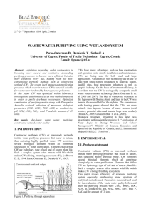 WASTE WATER PURIFYING USING WETLAND SYSTEM