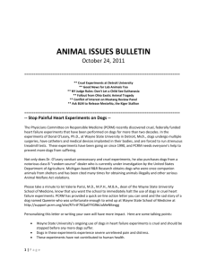Animal Issues for October 25, 2011