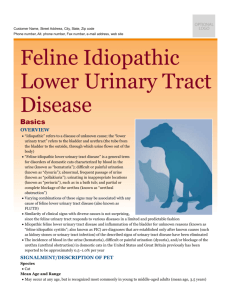 feline_idiopathic_lower_urinary_tract_disease