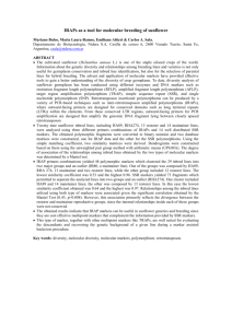 IRAPs as a tool for molecular breeding of sunflower