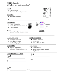 TOPIC: Genetics AIM: How are traits passed on? TRAIT C