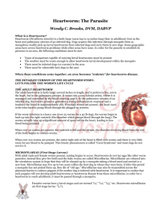 Heartworm: The Parasite - Richardson Humane Society