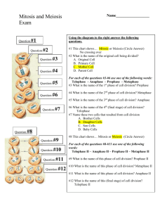 Lesson 15d Comparing Mitosis and Meiosis Quiz Key