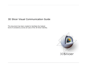 3D Slicer Version 3 (Slicer3) Visual Communication Guide