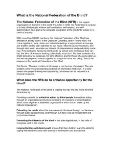 What is the National Federation of the Blind