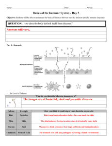 Day 5 Basics of the Immune System - Answer Sheet