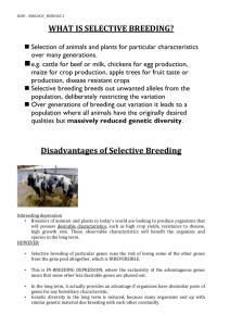 Disadvantages of Selective Breeding