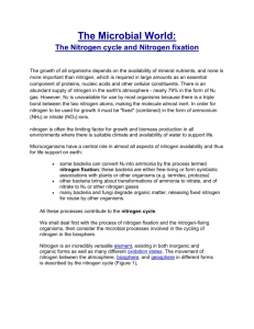 The Microbial World: The Nitrogen cycle and Nitrogen fixation The
