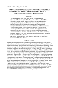 IAWA Journal, Vol. 32 (4), 2011: 521–530 A NEW LATE CRET