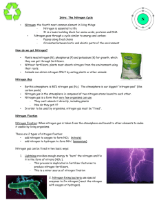 Intro: The Nitrogen Cycle