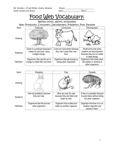 Food Webs, cycles, biomes study guides and notes