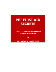 Complete Guide To Pet First-Aid