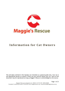 Information for Cat Owners