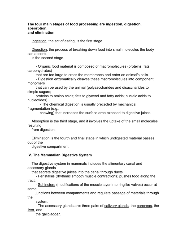 The Four Main Stages Of Food Processing Are Ingestion
