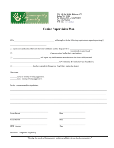 Canine Supervision Plan - Community And Family Services
