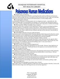 Poisonous Human Medications - Issaquah Veterinary Hospital