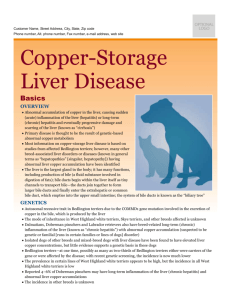 copper-storage_liver_disease