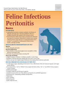 feline_infectious_peritonitis