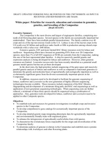 Draft White Paper - Compositae Genome Project