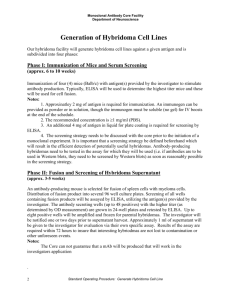 Generation of Hybridoma Cell Lines