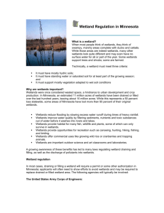 Wetland Regulation in Minnesota