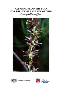 National Recovery Plan for the Jervis Bay Leek Orchid