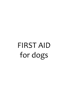 first aid - WordPress.com