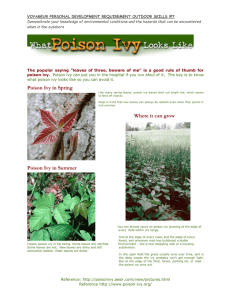 Poison ivy can put you in the hospital if you run afoul of it