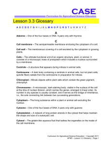 Lesson 3.3 Glossary