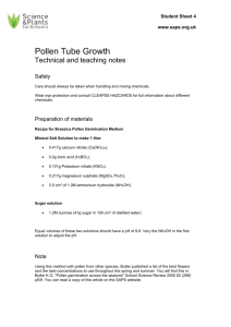 Teachers and Technicians Sheet - Pollen Tube