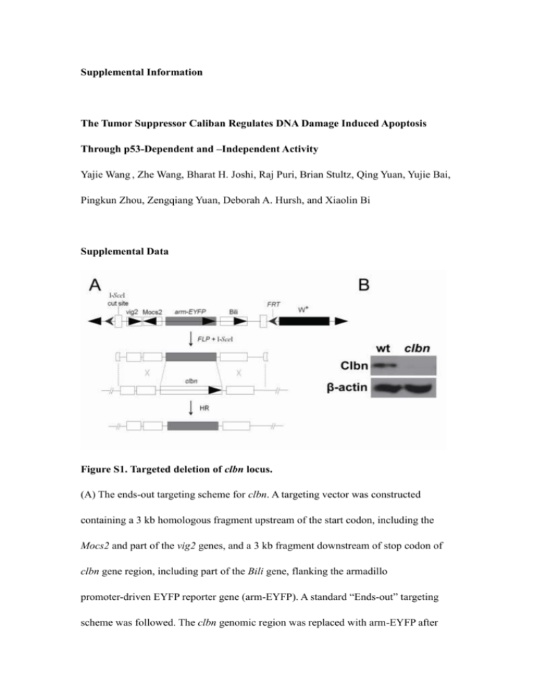 Supplemental Data